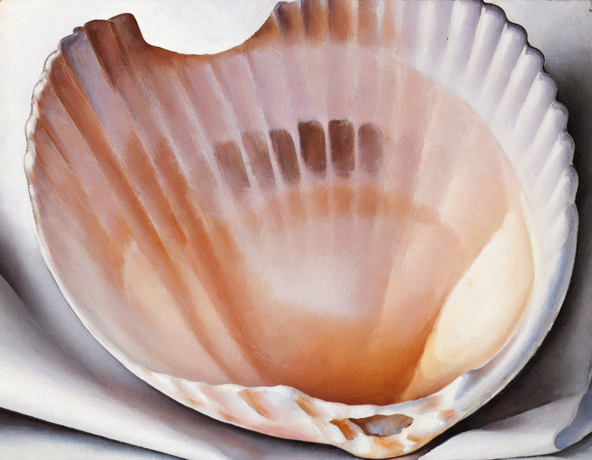 <lora:okfe:0.8>okfe, abstract, closeup, smooth, feminine, seashell, pearlescent