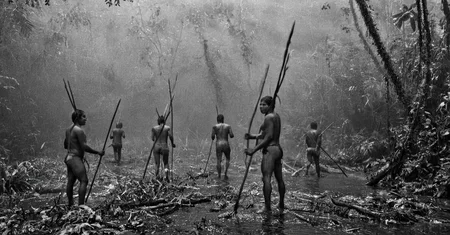 black and white photograph of few indigenous people hunting with spears and sticks in the amazonian rain forest, insane details, dramatic lights, high definition, 35mm camera, film photography style, heavy grain, ral-chrosc-bw, masterpiece, national geographic style, strong vignette, high contrast