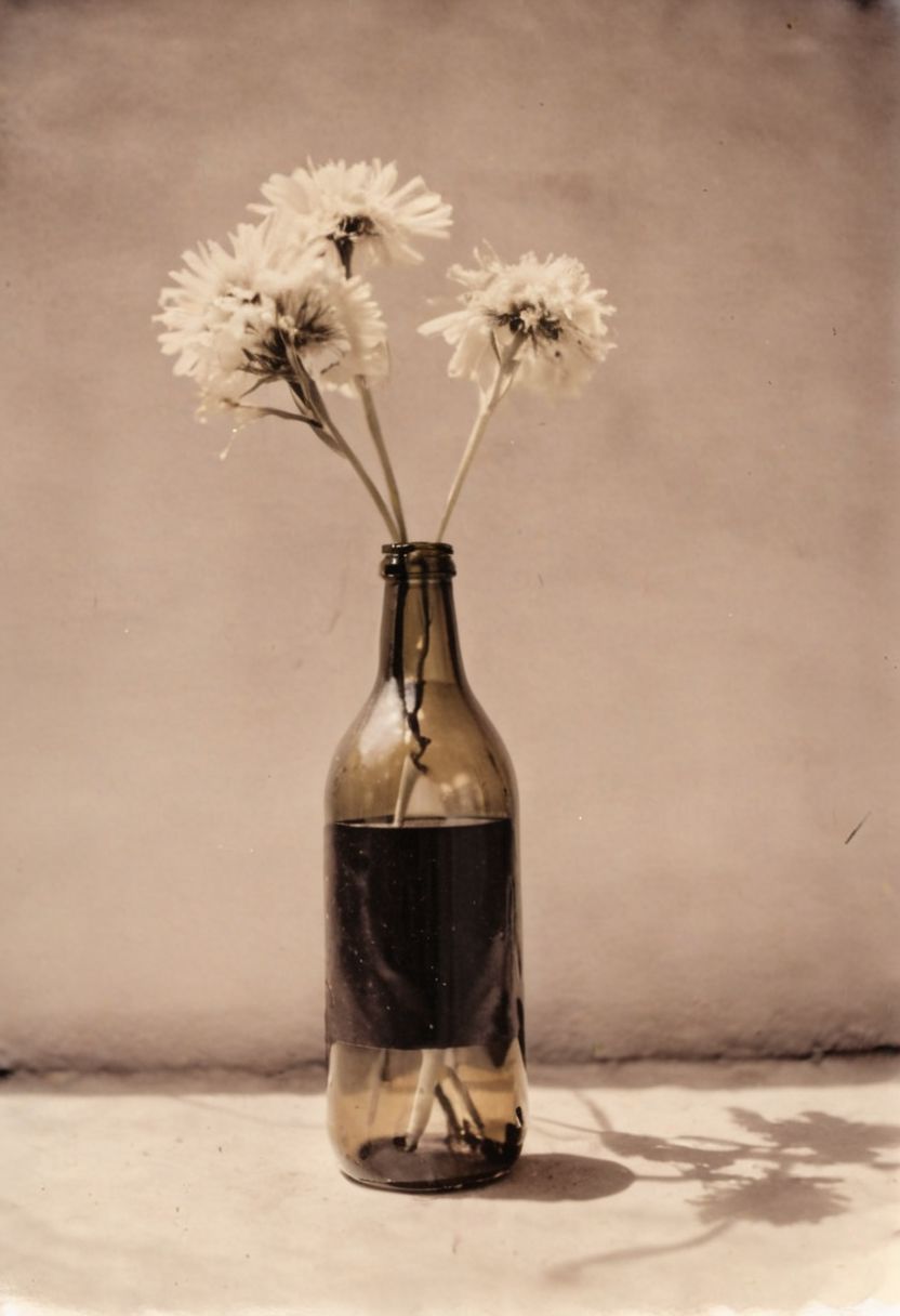 lith_agfabrovira_BH21, instagram photo,a bottle with a flower, hard shadows, film grain