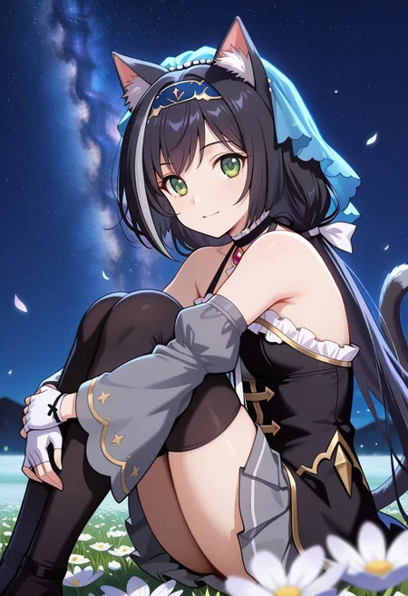 medium depth of field, rule of thirds, masterpiece-level, clean lines, sharp, focused subject, minimalistic composition, masterpiece, amazing quality, best quality, anime screencap, detailed face, detailed eyes, detailed outfit, face focus,
general,highres, ultra-detailed,very aesthetic,best quality ,best hands, perfect anatomy,detailed,
BREAK 1girl, solo, pcrcal, black hair, streaked hair, cat ears, animal ear fluff, cat tail, green eyes,
calover, low twintails, hairband, blue veil, black choker, black dress, white ribbon, gold trim, layered dress, brooch, sleeveless dress, frilled collar, halterneck, bare shoulders, wide sleeves, grey sleeves, detached sleeeves, white gloves, fingerless gloves, overskirt, grey skirt, pleated skirt, black thighhighs,
from front, from side, cowboy shot,
sitting, hugging own legs, knees arms support, happy, light smile, looking at viewer,
light particles, blue light,
Flower Field, moon,
outdoors, night sky, strarry sky, milky way, scenery,