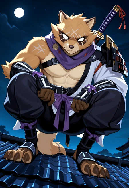 score_9, score_8_up, score_7_up,<lora:Expressive_H-000001>, 8k, detailed design, detailed background, detailed characters, masterpiece, anthro only, furry only, 1boy, solo,  <lora:HajimeIllustrious>, white armor, no pupils, belt, black gauntlet, white japanese clothes, white hadanugi dousa, purple neckerchief, black pants,   holding katana, squatting, looking at viewer,   serious,  male focus,solo focus, below angle,  outside, night, on rooftop,