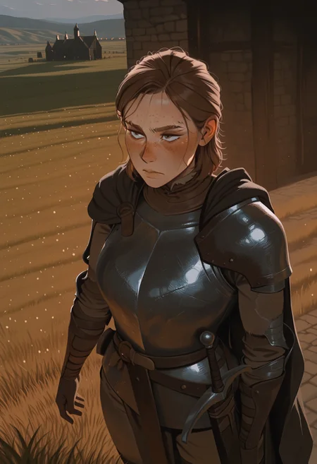 masterpiece,best quality, beautiful lighting, high angle, dutch angle,1girl, solo, EllieLOU, brown hair, medium hair, hazel eyes, eyebrow slit, serious expression, freckles, fur lining, cape, metal armor, medieval armor, suit of armor, sword sheath, stoic,grass, field, medieval battlefield,