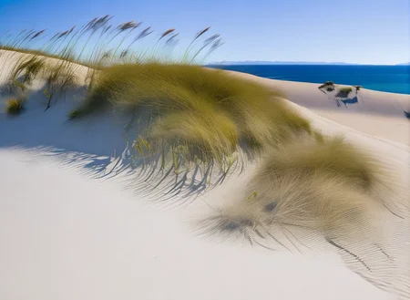 <lyco:sand and sea:1.0>  srdg a sandy beach with a few bushes and sand dunes