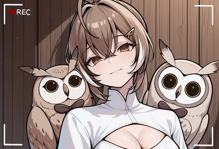 masterpiece, best quality, 1girl, solo, N4nashiDef, brown eyes, brown hair, long hair, streaked sidelocks, ahoge, ponytail, feather hair tie, hairclip, white shirt, high collar, cleavage cutout, brown corset, portrait, 1animal, animal on shoulder, (huge owl:1.4), barn owl, head tilt, slight smile, looking at viewer, selfie, viewfinder, <lora:ChamNanashiMumeiIllustriousXL:1>