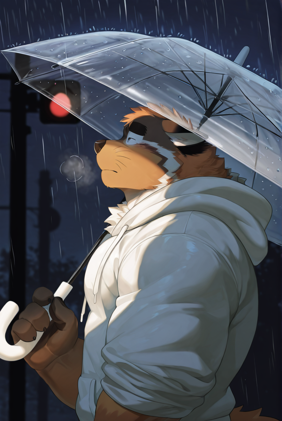 safe_pos, furry male, male focus, solo, thick eyebrows, muscular male, big, furry, hakilas, brown fur, orange fur, white fur, upper body, anthro, kemono, rain, traffic light, intersection, night time, looking up, holding umbrella, clear umbrella, standing, white hoodie, heavy breathing, casual clothing, sparkle, sad vibe, lonely BREAK very aesthetic, masterpiece, very impressive background, best quality, high quality, absurd res, high detail, smooth drawing,  <lora:Character_Hakilas_BOOG_ILXL:1>
