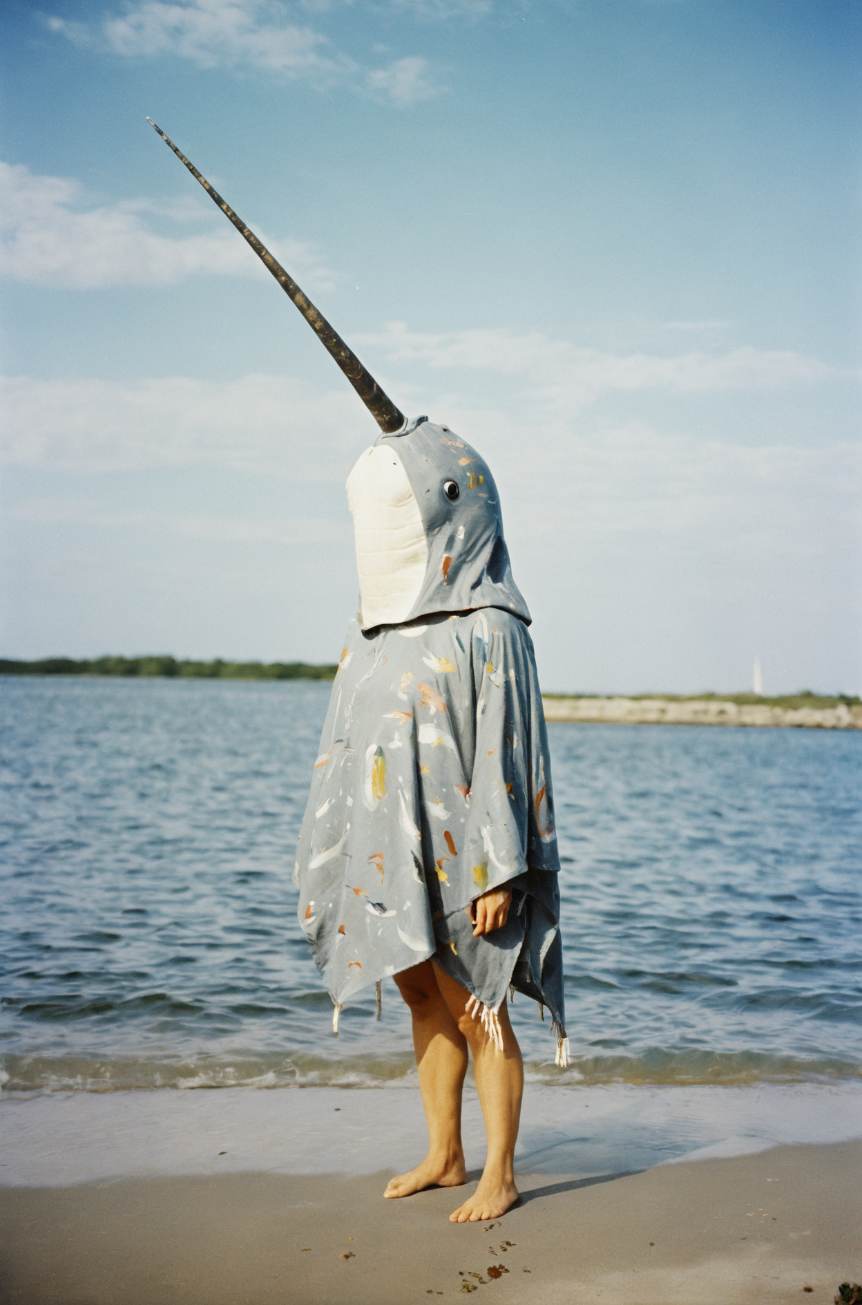 analog photography aesthetic,film grain texture, dressed in a vintage,(narwhal  wearing  poncho),absence of people,Indosuchus,pleased,action painting,naval sex,sleek body,Franciszek Starowieyski
