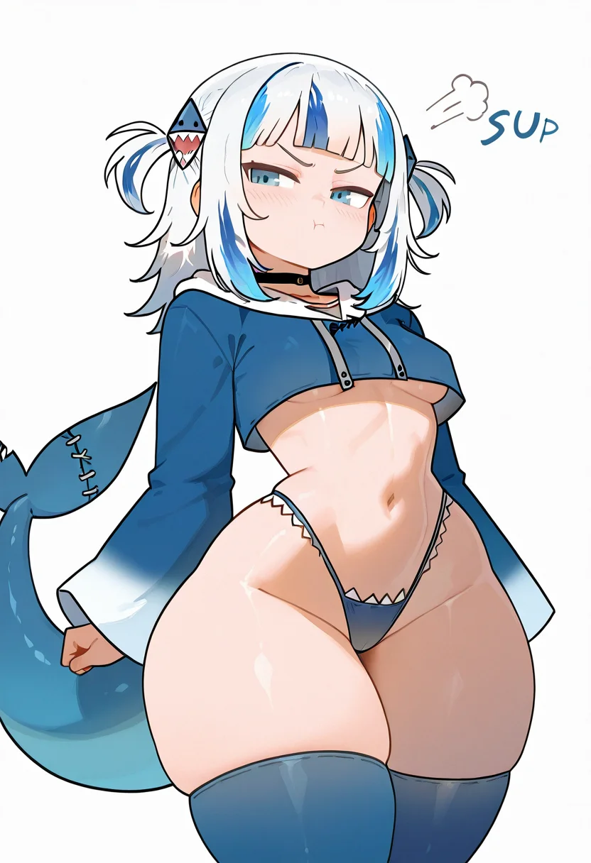 (score_9,score_8_up:1.1),score_7_up, high quality,
Honkibooty, 1girl, tail, fish tail, thighhighs, breasts, shark tail, multicolored hair, solo, thick thighs, streaked hair, wide hips, virtual youtuber, blue eyes, blue hair, navel, highleg, panties, underwear, underboob, grey hair, crop top, blue thighhighs, pout, shark girl, choker, thighs, blunt bangs, highleg panties, small breasts, cropped shirt, Gawr Gura