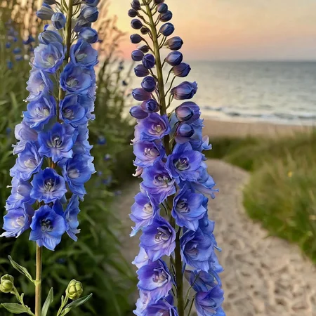 Delphinium flower with stem ingrid-elias-style beside a path to the beach depth of field <lora:ingrid_elias_style_v2:.7>