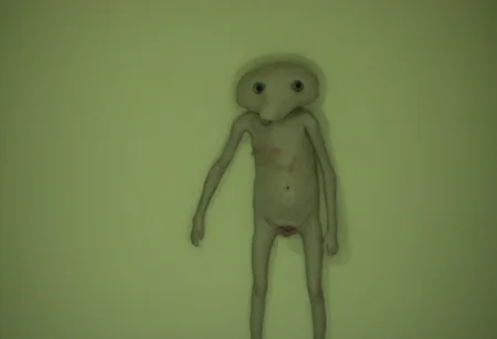 photo, creature, disturbing, depressing, melancholic <lora:y2kmadmix_v0.0.1:1>