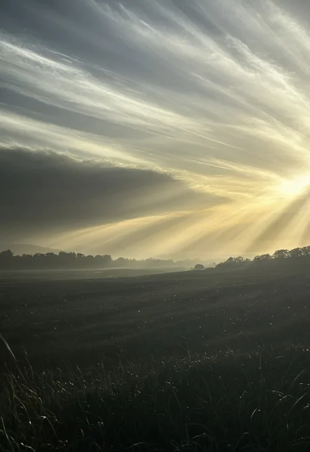 A reclining figure bathed in warm, golden light, their silhouette gradually merging with a field of pulsating, star-like forms that shimmer with hidden movement., minimalist, moody, atmospheric, foggy, high contrast, muted colors, cinematic, ethereal, surreal, centered composition, soft lighting, symmetrical framing, photographic style, dreamlike ambiance