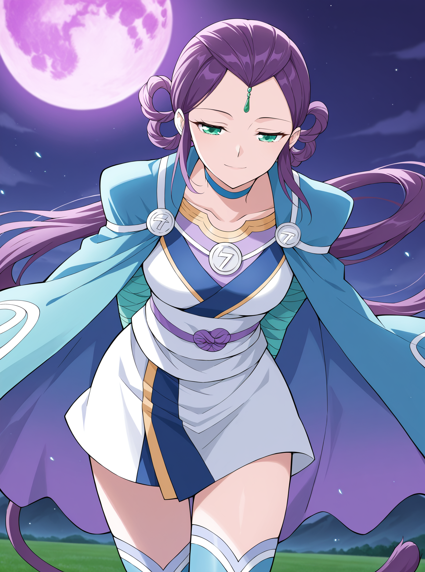 <lora:Feng_Qing_Er__Battle_Through_the_Heavens__Illustrious:1>
1girl, solo, purple hair, braided bun with hair tail, hair rings, hair bun, side bangs, forehead jewel, green eyes, anime style, blue and white outfit, oriental dress, short dress, battle robe, split sleeves, shoulder cape, high collar, gold accents, sash belt, blue thighhighs, thigh-high boots, zigzag trim, symbol buttons, gemstone accessory, martial artist, blue choker
score_9, score_8_up, score_7_up, very aesthetic, source_anime, detailed, high quality, beautiful, masterpiece, detailed eyes, field, blurry background, pose dynamic angle, upper body, cowboy shot, light smile, floating hair, half-closed eyes, hands behind back, leaning forward, looking forward, looking at viewer, night, purple moon