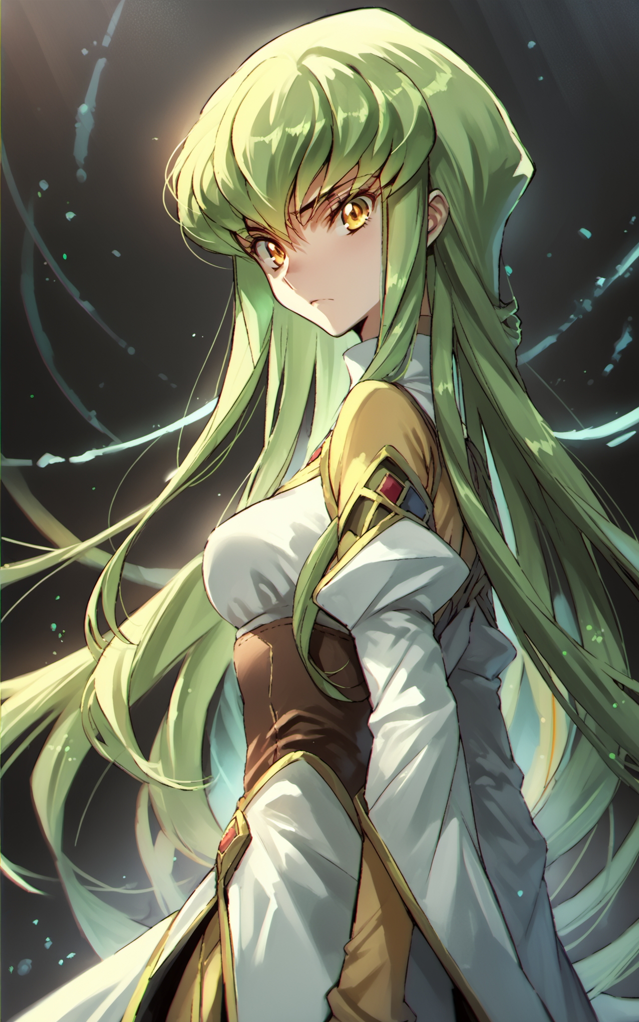 score_9,score_8_up,score_7_up,score_6_up,score_5_up,score_4_up,source_anime,1girl,<lora:Dsmile_style_pony:0.8>,Dsmile_style,chromatic aberration,c.c., code geass, green hair, long hair, yellow eyes,