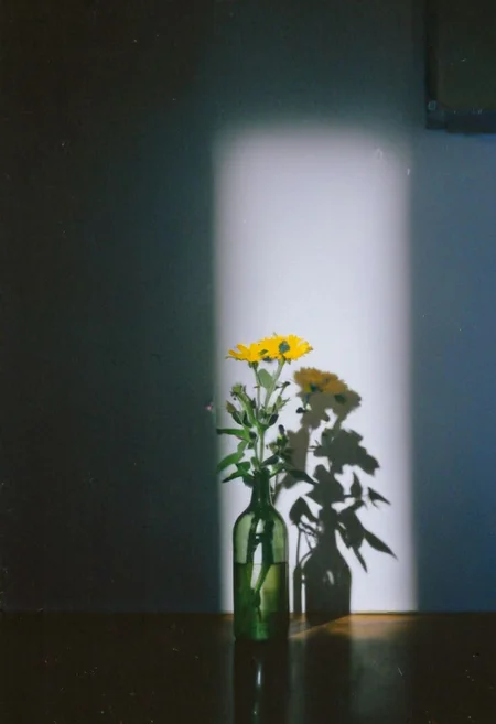 FP100C, instagram photo,a bottle with a flower, hard shadows, film grain
