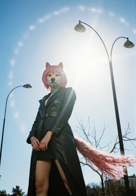 8n8log, Female figure, Shiba Inu dog head, pink dyed fur bob cut, long fur flowing down back, slender feminine body, fitted black leather trenchcoat, turquoise metallic choker, manicured hands, black stiletto boots, urban street location, day time, outdoor setting, confident posture, feminine body proportions. film photography aesthetic, film grain effect prominent throughout image,  Streetlight, twin lamps, tall metal pole, bare branches surrounding base, bright halo effect, clear blue sky, intense sunlight, daytime setting, visible lens flare, overexposed lighting, vibrant colors, natural outdoor environment