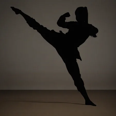 fighting stance, dynamic pose, high quality, flying high kick, dark, black shadow, fine lines, silhouette, action