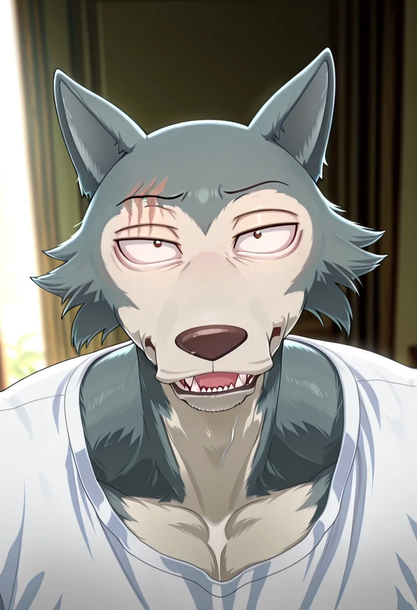 masterpiece, best quality, amazing quality,
Legoshi, anthro, wolf, beastars, scar on right brow, mature male, animal ears, grayish blue fur, brown eyes, smug expression, upper eyelid half closed, smug, sharp teeths, sharp fangs,
blurry background, volumetric lighting, smug grin, open eyes, 1boy, solo, male focus, mature male, looking at viewer, simple background, evil grin, head focus, portrait, detailed head, broad shoulders, muscle chest, white shirt, smug head, looking up, from above