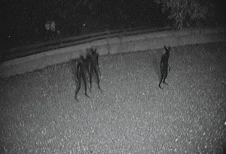 aliencctvlora, black and white nighttime cctv footage of two thin gray aliens skulking around the backyard of a suburban home, (thin bodies:1.2), (big bulbous heads:1.4), tall, long thin arms, thin fingers, long thin necks, (big black eyes:1.4), realistic, grainy cctv, dark footage, dynamic action, candid, olddigitalcamera, raw, light leak, film grain, (jpeg artifacts:0.5), low res