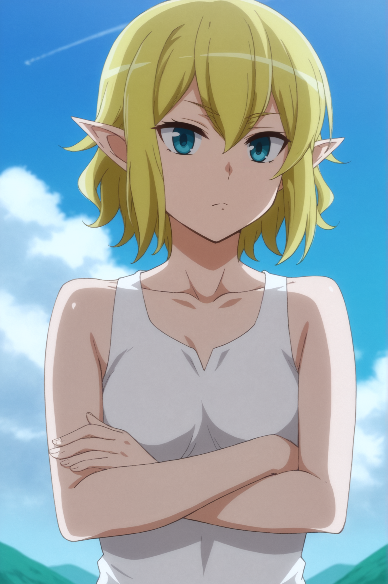 <lora:Ryuu_Lion:0.7>, Ryuu Lion, 1girl, solo, closed_mouth, collarbone, upper_body, sky, sleeveless, day, cloud, blue_sky, crossed_arms, elf <lora:sdxl_lightning_4step_lora:1>