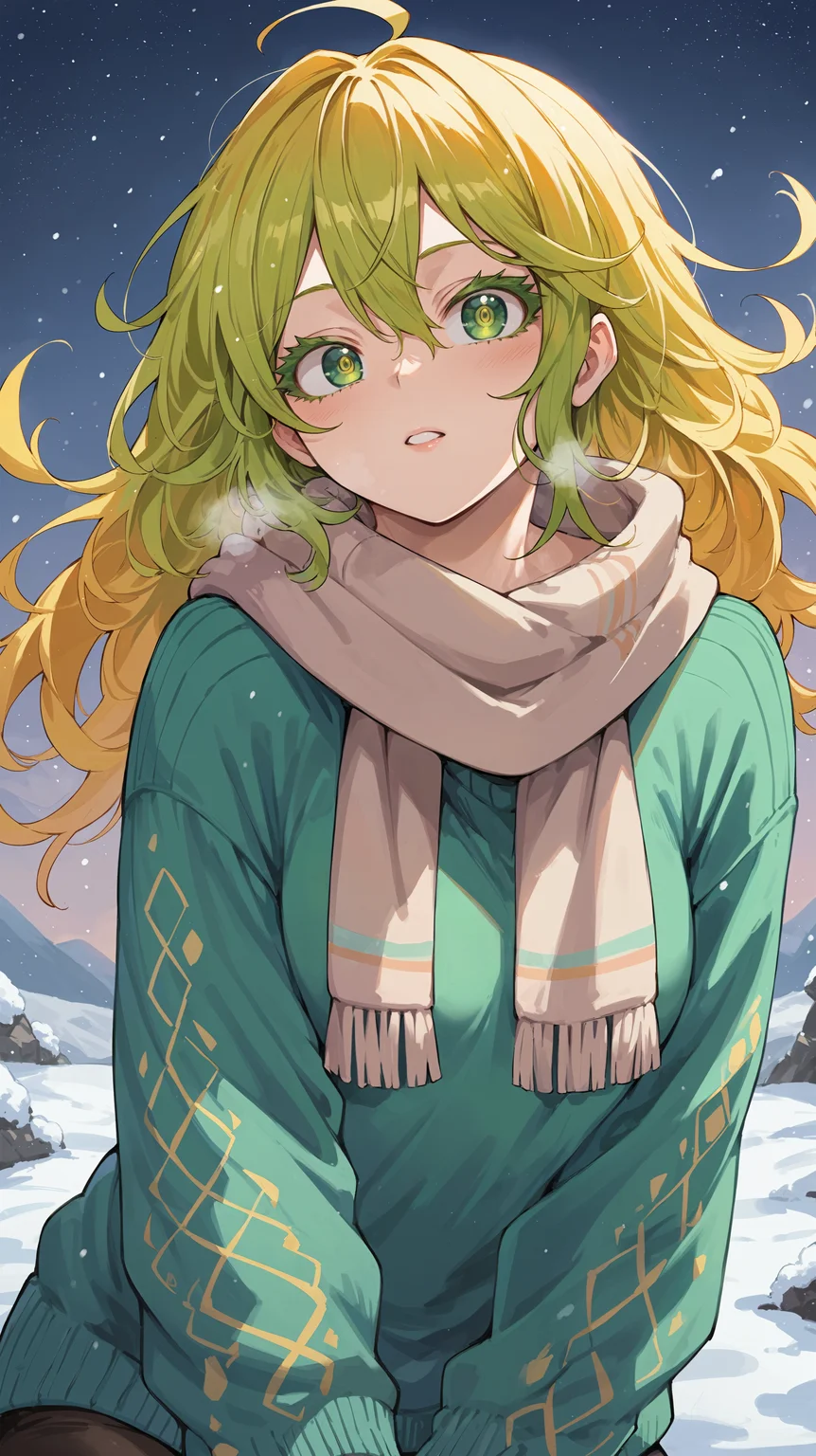score_9,score_8_up,score_7_up,score_6_up, source_anime, <lora:xl_more_art-full_v1:0.5>, girl, dynamic pose, arms at her side, <lora:Toru Hagakure (Invisible Girl) - Pony:0.8>, long hair, green hair, yellow hair, messy hair, multicolored hair, green eyes, long eyelashes, oversized sweater, colorful sweater, scarf, winter, snow, night sky, visible breath,