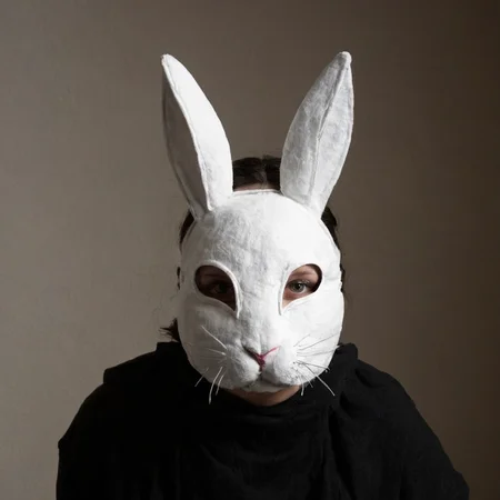 <lora:SDXL_Mask_Sa_May:1> mask, a person in a bunny mask
