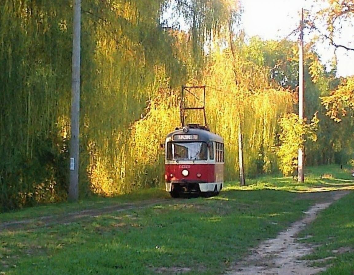 v8s, Vintage red and white tram, front-facing, traveling on narrow tracks through lush green park setting, surrounded by towering weeping willow trees, drooping branches creating natural tunnel effect, dappled golden sunlight filtering through foliage, electric overhead wires visible above tram, trolley poles connecting to power lines, autumn colors beginning to appear in background trees, yellow-gold leaves contrasting with deep greens, dirt path running alongside tracks, peaceful secluded transportation route, nostalgic public transit vehicle, mid-century design, urban nature integration, tranquil atmosphere, empty pathway, morning light creating warm glow on vegetation. Image appears slightly blurred, overexposed in sunlit areas, low resolution with pixelated details, amateurish quality with compressed color range, slightly tilted composition.