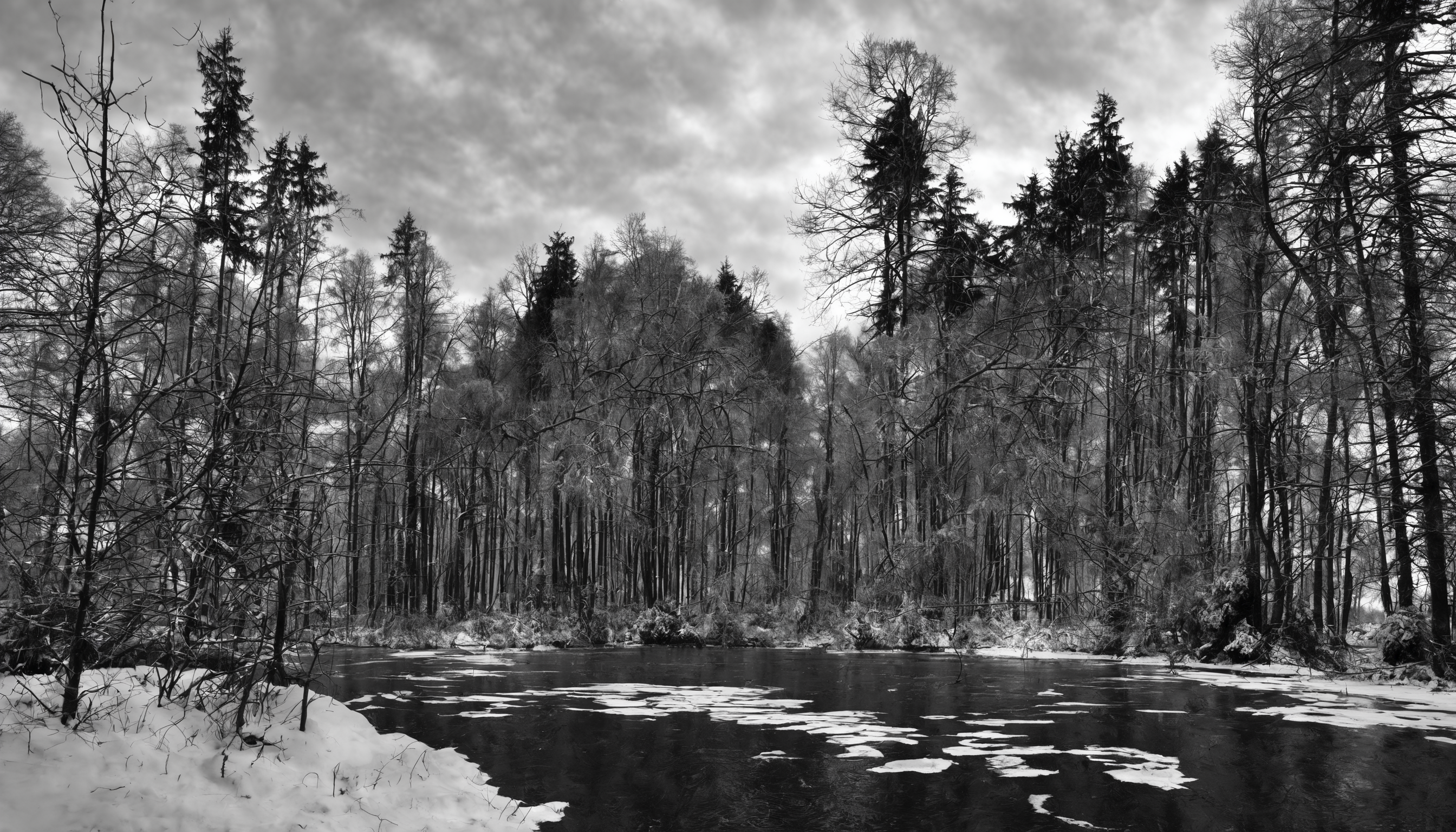 <lora:1:0.5>,Winter forest, no humans, scenery, monochrome, outdoors, greyscale, sky, nature, day, traditional media