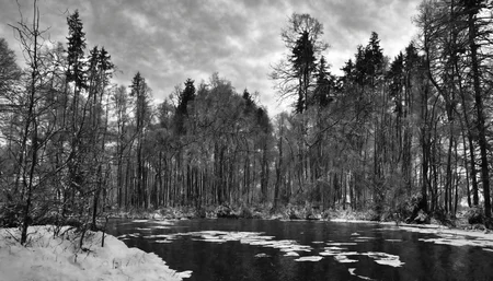 <lora:1:0.5>,Winter forest, no humans, scenery, monochrome, outdoors, greyscale, sky, nature, day, traditional media