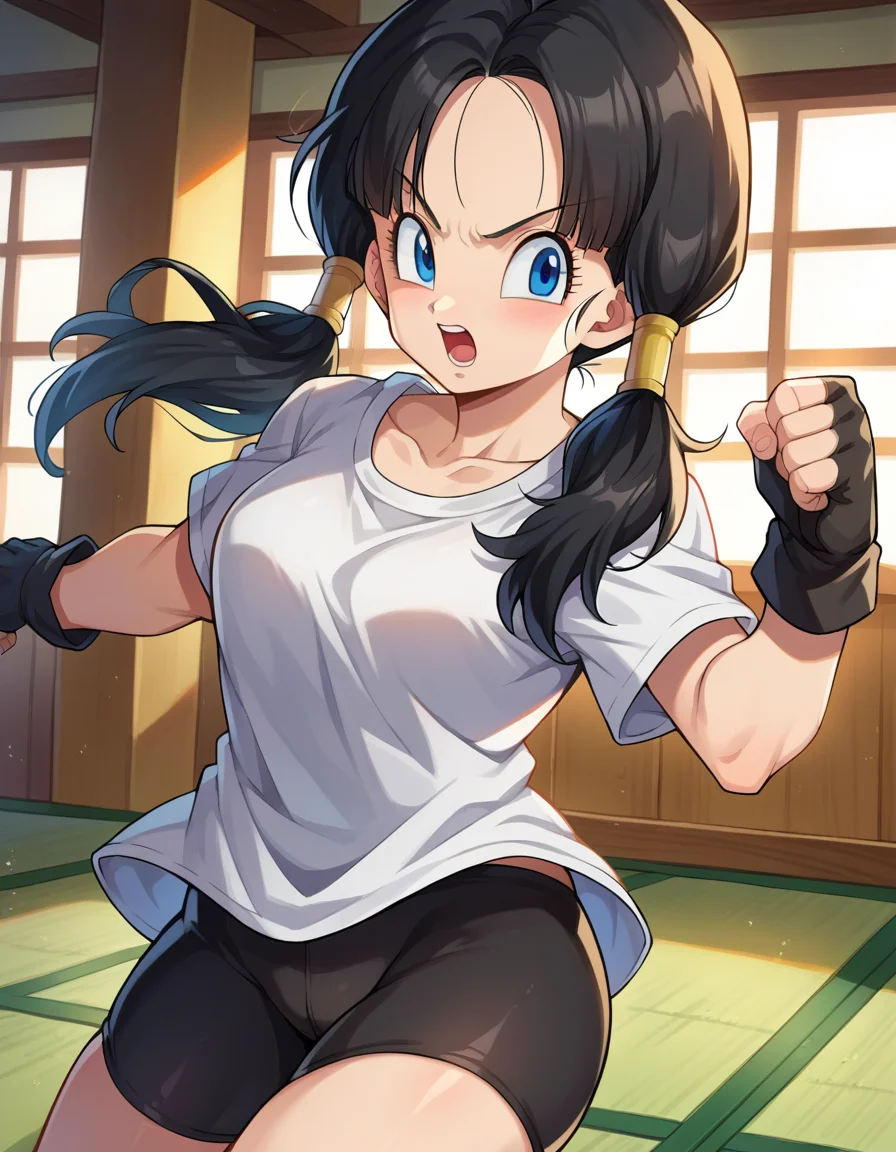 score_9, score_8_up, score_7_up, source_anime,
videl, <lora:dragonball-videl-ponyxl-lora-nochekaiser:1>,
videl, black hair, blue eyes, eyelashes, parted bangs, twintails,
bike shorts, black gloves, black legwear, collarbone, fingerless gloves, gloves, shirt, short sleeves, white shirt,
indoors, dojo,
looking at viewer, cowboy shot, dutch angle, fighting stance, open mouth,