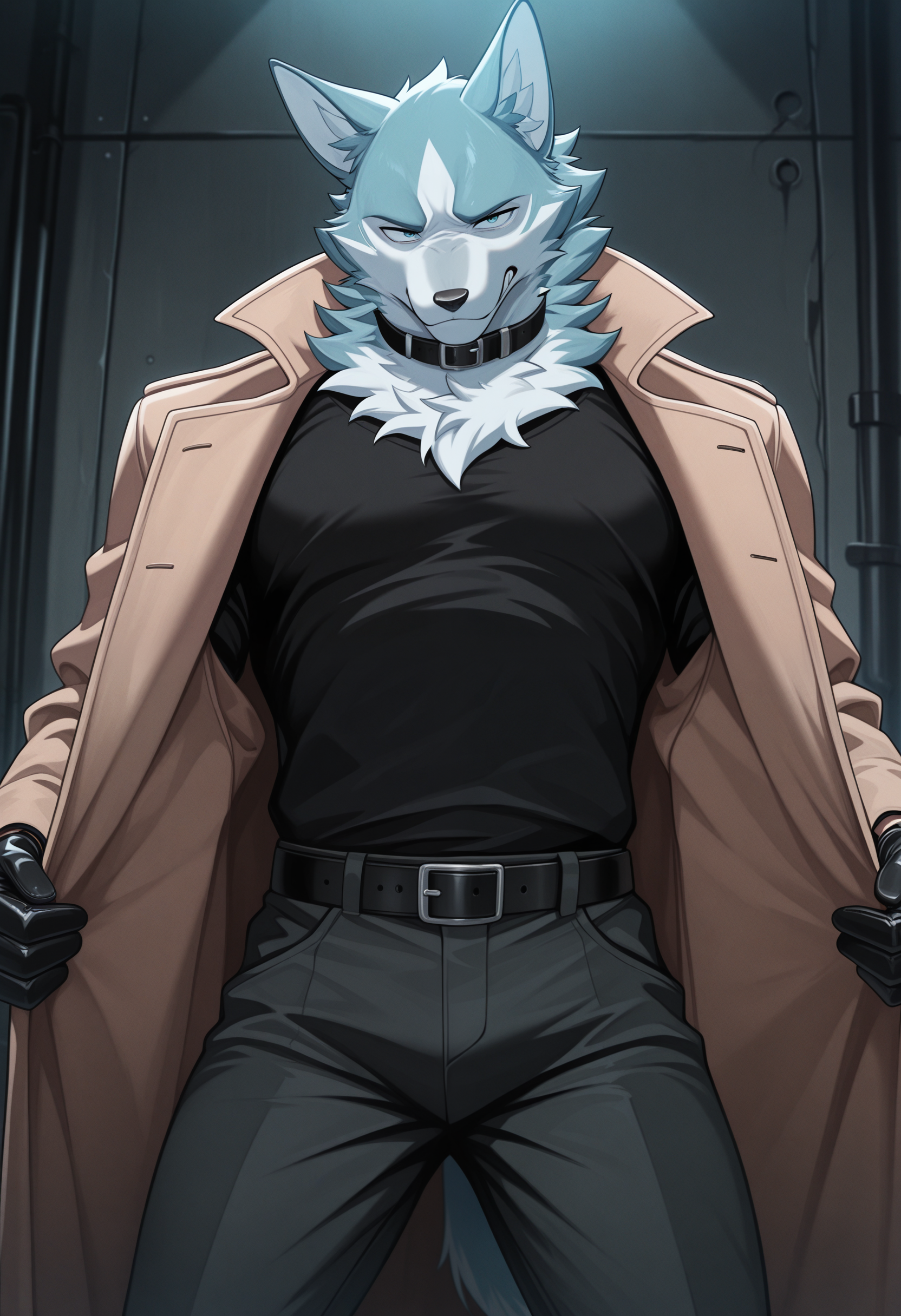 masterpiece, best quality, amazing quality, solo, 1boy, ShirouBNA, coat, black shirt, pants, gloves, collar