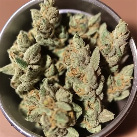 ((iradescent)) weed