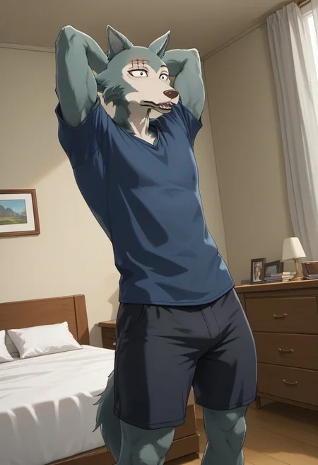 score_9_up, score_8_up, score_7_up, Masterpiece, best quality, high quality, detailed, male, solo male, 1boy, Legoshi, anthro, wolf, beastars, scar on right brow, mature male, animal ears, grayish blue fur, brown eyes, athletic build, indoors, blue shirt, standing, apartment, stretching, thick thighs, wide hips, big butt, black shorts, dutch angle