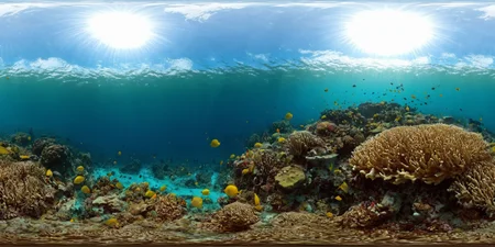 360panorama,<lora:HMSG360æµ·åºä¸çXL-000005:1>,<lora:å
å½±XL:1>,Underwater world,Swimming fish,Coral reef exploration,Deep sea,Sunlight filtering through water,No specific artist,Photo-realistic,Fantasy,Digital painting,Nature scene,Vibrant marine colors,High-definition rendering,4K,High detail,