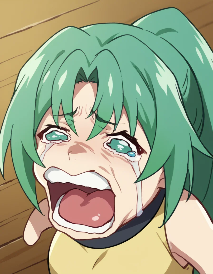 score_9, score_8_up, score_7_up, source_anime, <lora:mion-sonozaki-s4-ponyxl-lora-nochekaiser:1>, mion sonozaki, long hair, green eyes, ponytail, green hair, large breasts, <lora:chopper-crying-ponyxl-lora-nochekaiser:1> chopper crying, chopper crying (meme), meme, wavy eyes, crying, tears, teeth, open mouth, tongue,, ,