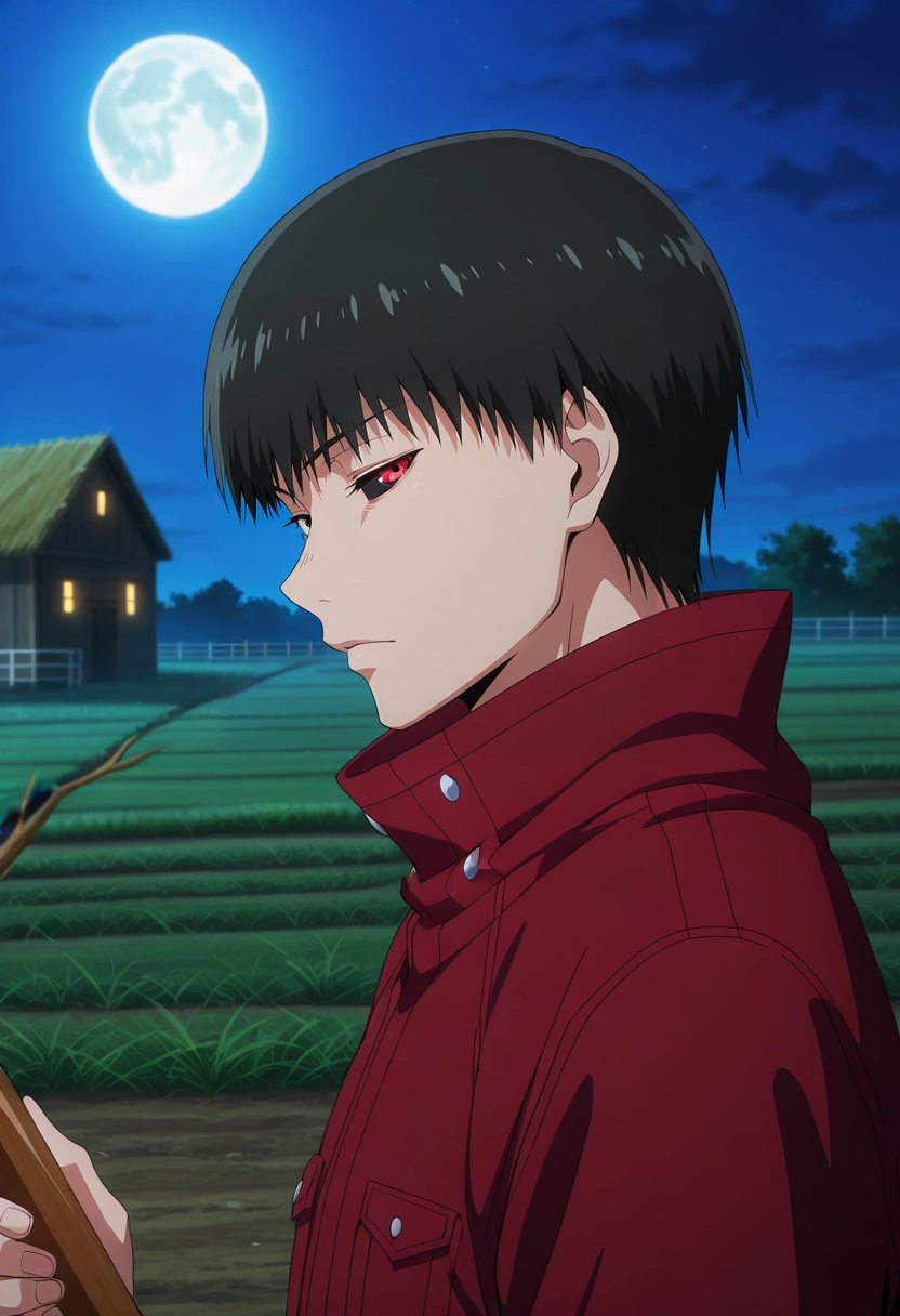 masterpiece, best quality, intricate details, anime screencap, anime coloring, , looking at viewer, 1boy, solo, male focus, <lora:ken_kaneki_ilxl:0.94>, ken_kaneki, black hair, black eyes, short hair, bangs, , , colored sclera, black sclera, red eyes, heterochromia, profile, farm, plantation, night, full moon, holding instrument, squinting,
