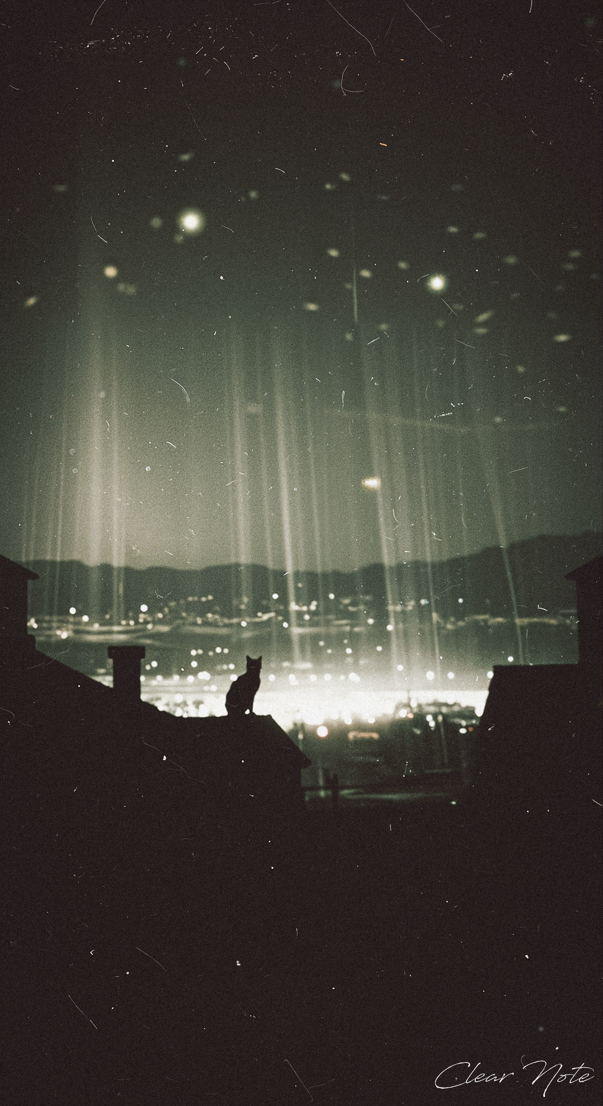 Japanese Culture Style, Emotional Photos, A cat,