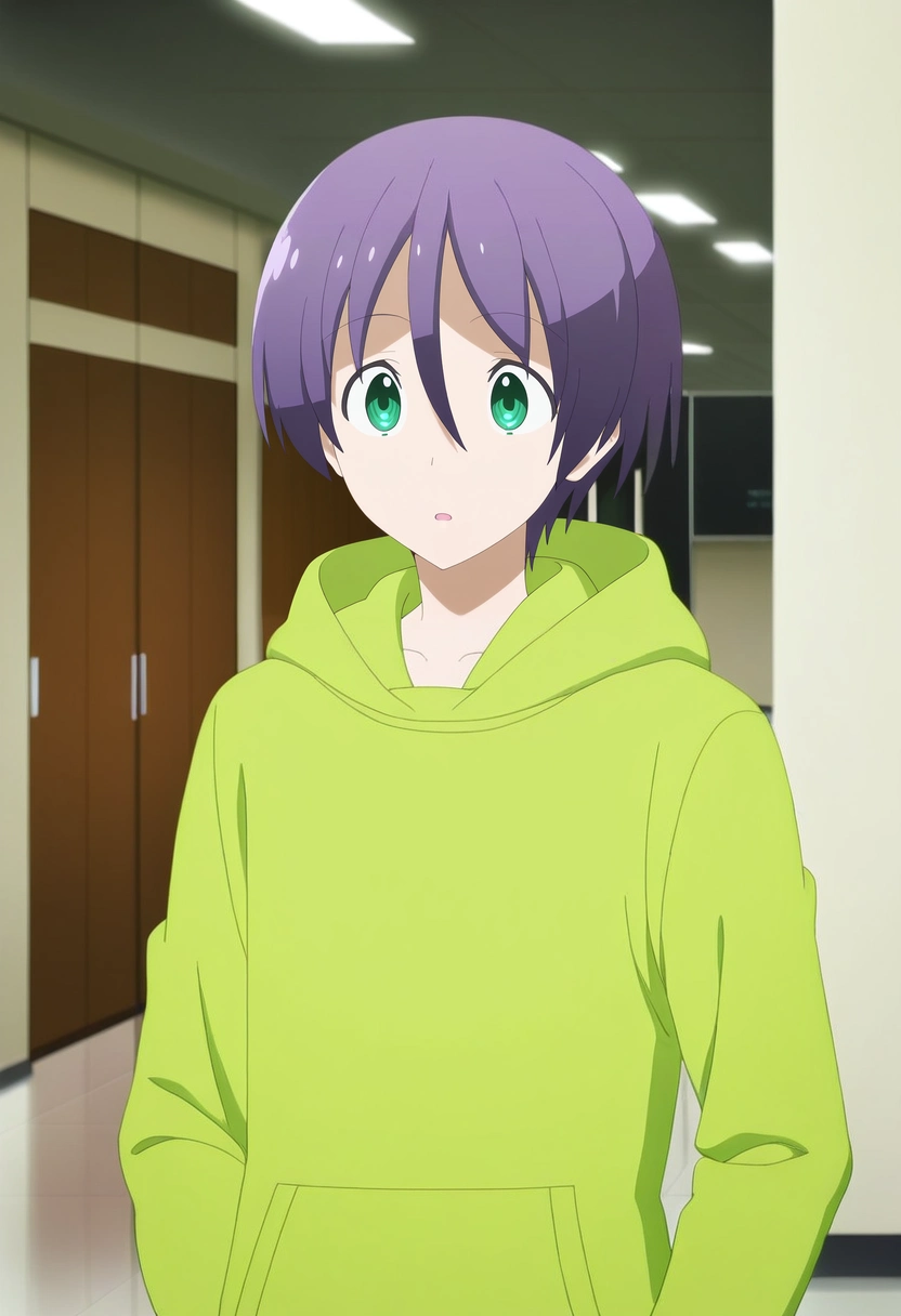 masterpiece, best quality, , anime screencap, anime coloring, official style,, 1boy, solo, male focus, <lora:nasa_yuzaki_ilxl:0.96>, nasa_yuzaki, purple hair, green eyes, short hair, hair between eyes, green hoodie, museum hall, ancient artifacts, glowing exhibits, polished floors, admiring pose, awestruck expression, academic lighting,