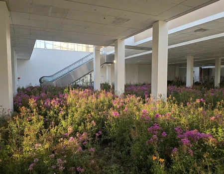 s2ms8ng. Office interior with a field of wildflowers, white pillars casting long shadows across the blooming plants, ceiling with square panels and recessed lighting, dominant earthy tones, escalator in background ascending to a bright area, natural light streaming through skylights, serene and unexpected blend of architecture and nature, overexposed in patches