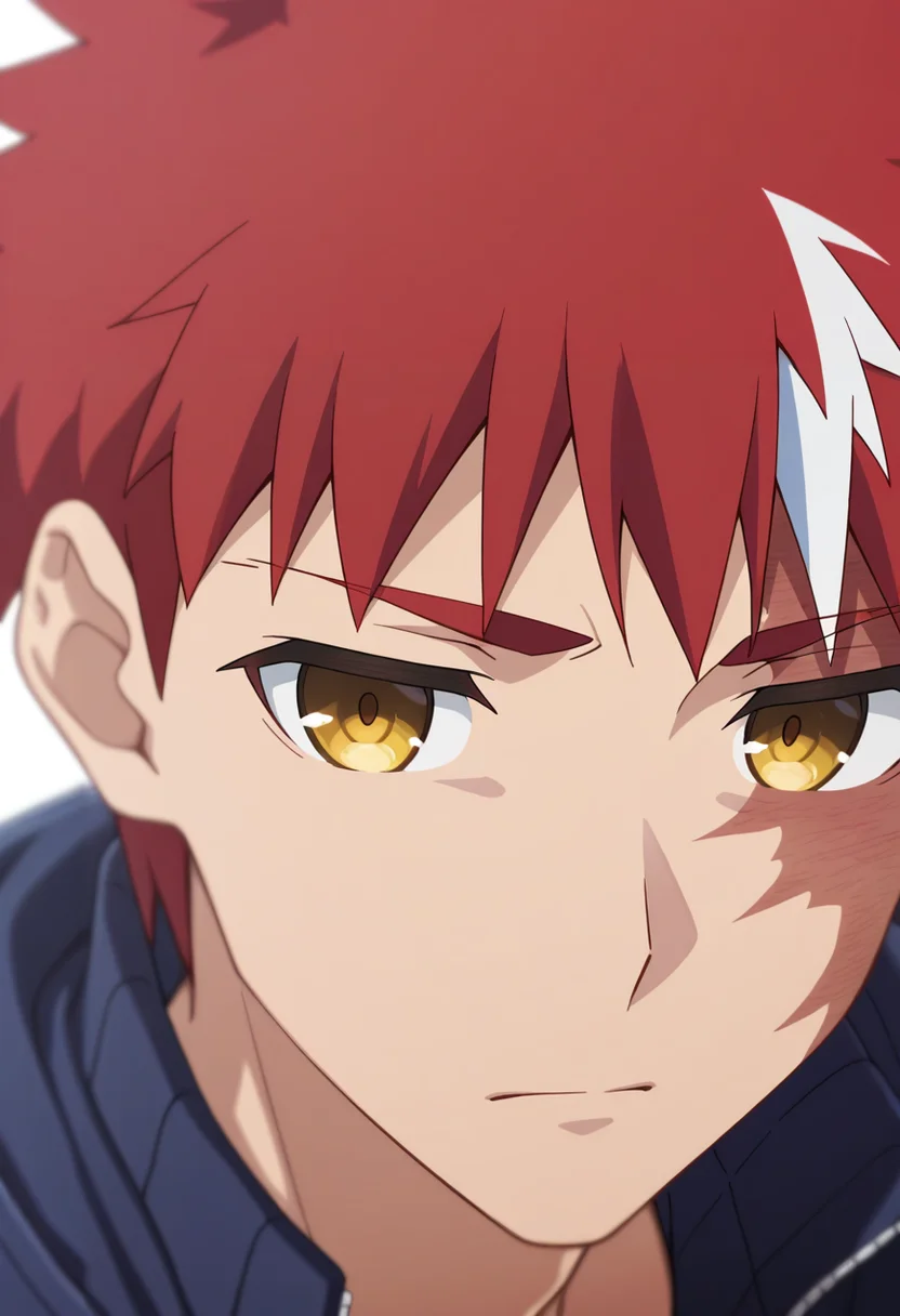 masterpiece, best quality, amazing quality,high resolution, intricate details,depth of field  , , , 1boy, solo, male focus, <lora:Shirou_Emiya:0.73>, shirou emiya, red hair, yellow eyes, short hair,white streak,burn scar,close up, looking to the side