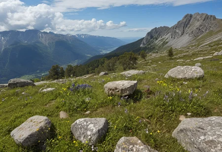 (no human:1.18), scenic alpine landscape, flowering juicy mountain meadow at springtime, Australian Alps, (butterflies:0.93), group of birch trees, (Boulder with carved inscriptions) Weathered stones with ancient runes, names, or poems,
(Mountain wildflowers: Snow gentian (Gentiana nivalis)Alpine lady's mantle (Alchemilla alpina)Edelweiss (Leontopodium alpinum)
(clouds dapple sunlight, rain in the distance,:1.18)
,(trending:0.95) (masterpiece:0.81), (high image quality:1.08), (RAW:0.84),high definition, p4,s10