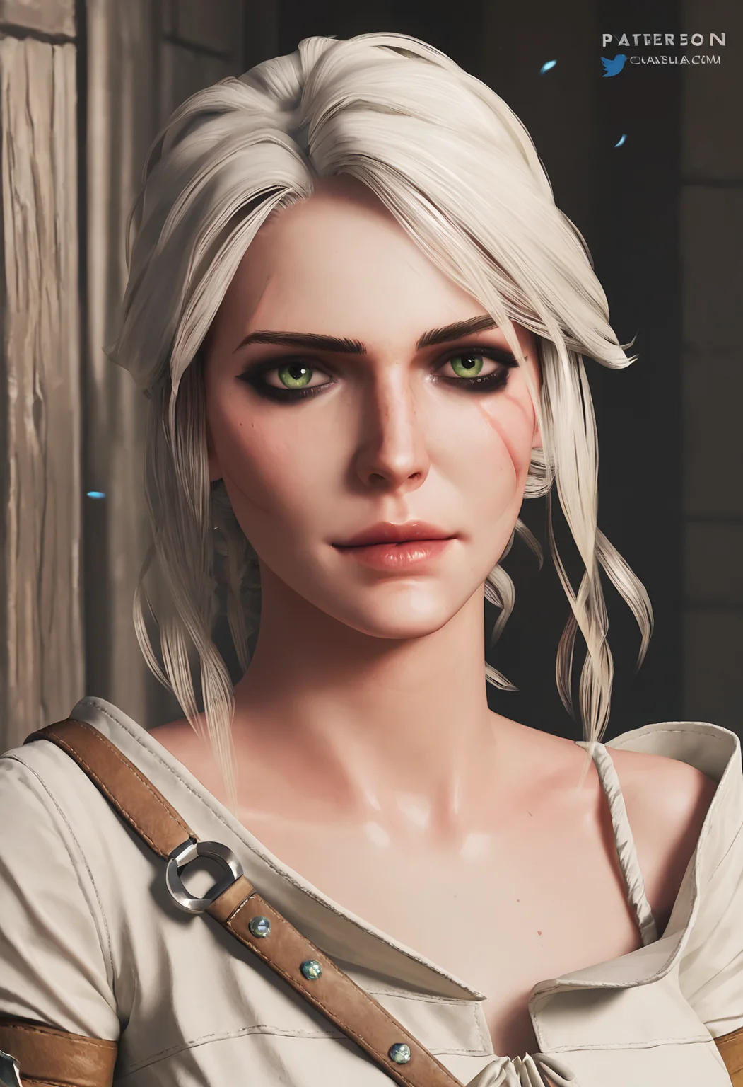 score_9, score_8_up, score_7_up, 1girl, ciri_w3, <lora:ciri_pony_sdxl:0.7>