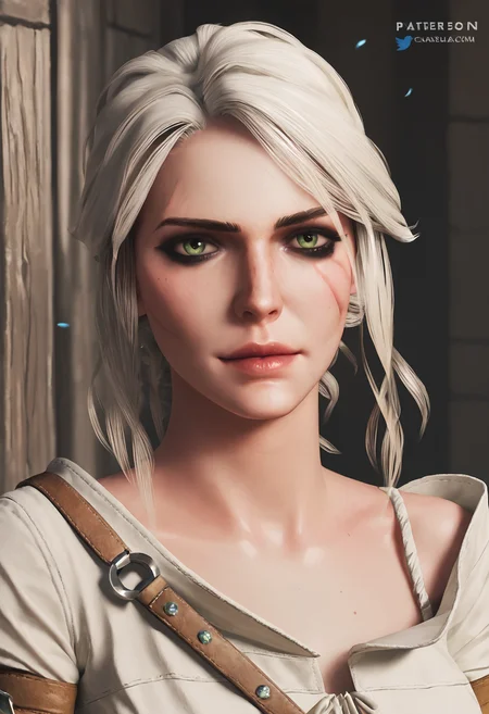 score_9, score_8_up, score_7_up, 1girl, ciri_w3, <lora:ciri_pony_sdxl:0.7>