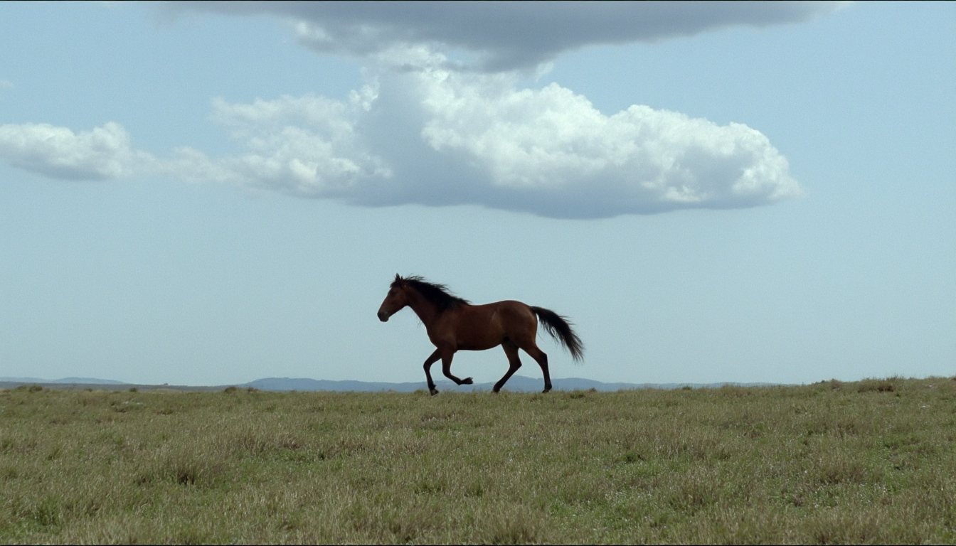 cinematic wide shot of a horse running over a grassy steppe in the distance. Blue sky with dramatic clouds. Soft natural light. High resolution. 1980s movie <lora:dark_cinematic-000080:1>
