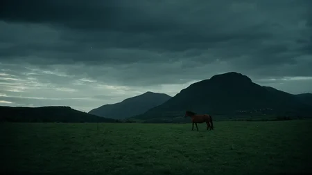 cinematic film still of <lora:detailed:0.2>
<lora:perfection style:0.2>
<lora:Ron Fricke style:0.1>
<lora:Braveheart film style:1>
In 1280 a lone horse is grazing in a field,outdoors,sky,cloud,no humans,night,grass,nature,night sky,scenery,mountain,dark,field,landscape , 13th century, cinematic, kodak, Braveheart film style, shallow depth of field, vignette, highly detailed, high budget, bokeh, cinemascope, moody, epic, gorgeous, film grain, grainy
