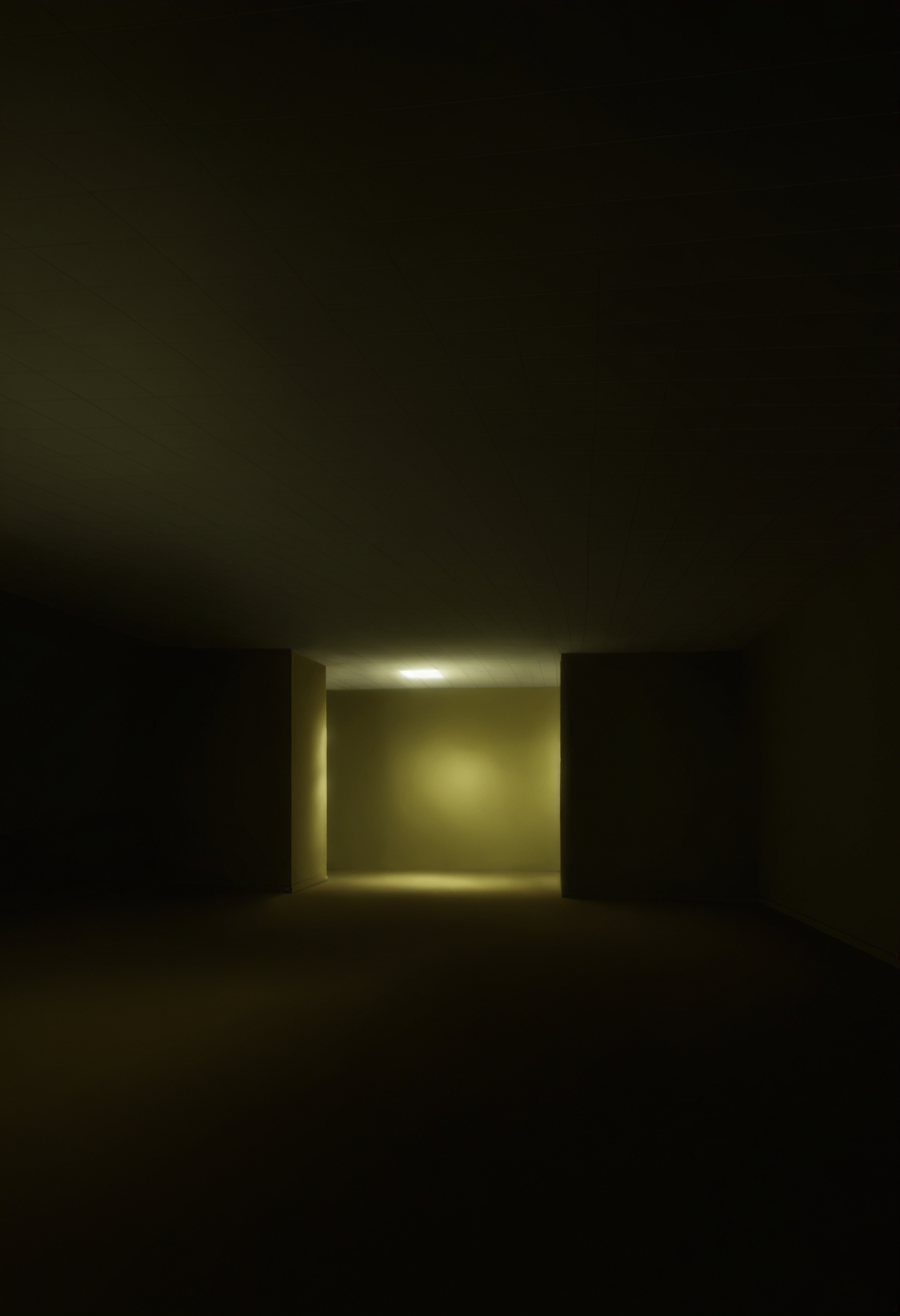 score_9, score_8_up, score_7_up, score_6_up, source anime
BREAK
backrooms, backrooms \(creepypasta\), brown carpet floor, yellow wall, argyle wall, tile ceiling, ceiling light, indoors, scenery, no humans, empty space, dark, dim lighting  <lora:[Backrooms] Backrooms Style Background_epoch_10:0.7>