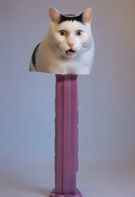 score_9, score_8_up, score_7_up,
zPDXL3,
BREAK
(huhcat, huhcatmeme), whiskers, open mouth,
BREAK
pezdispenser,3d, photorealistic, realistic,
source_anime,