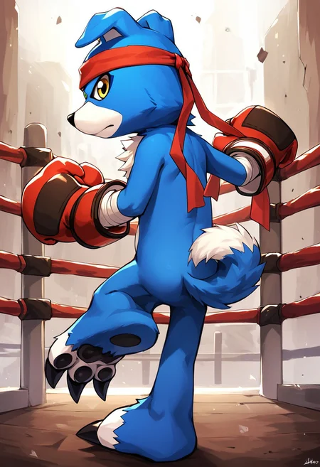 gaomon (character), digimon (creature), anthro, dog boy, blue body, blue fur, yellow eyes, boxing gloves, headband, bandages, tail, 3 toes, claws, 1boy, solo, standing, from behind, looking back, one leg up, leg up, boxing, score_9, score_8, score_7_up, score_6_up