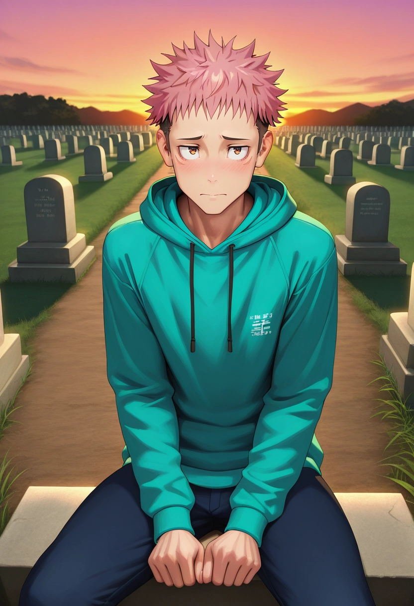 masterpiece, best quality, intricate details, (3d:0.4), , 1boy, solo, male focus, <lora:yuuji_itadori_ilxl:0.92>, yuuji_itadori, pink hair, brown eyes, short hair, undercut, spiked hair, , rule of thirds, cemetery, dusk, sitting, shy, blush,