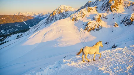 A White horse running through a snowy mountain valley in winter,top-down aerial view,realistic photography style. The setting sun casts golden light across the snow,creating long,dramatic shadows of the horse. The contrast between the bright snow and dark mountain ridges enhances the depth of the landscape.,<lora:kmountains-01:0.6>,kmountains,