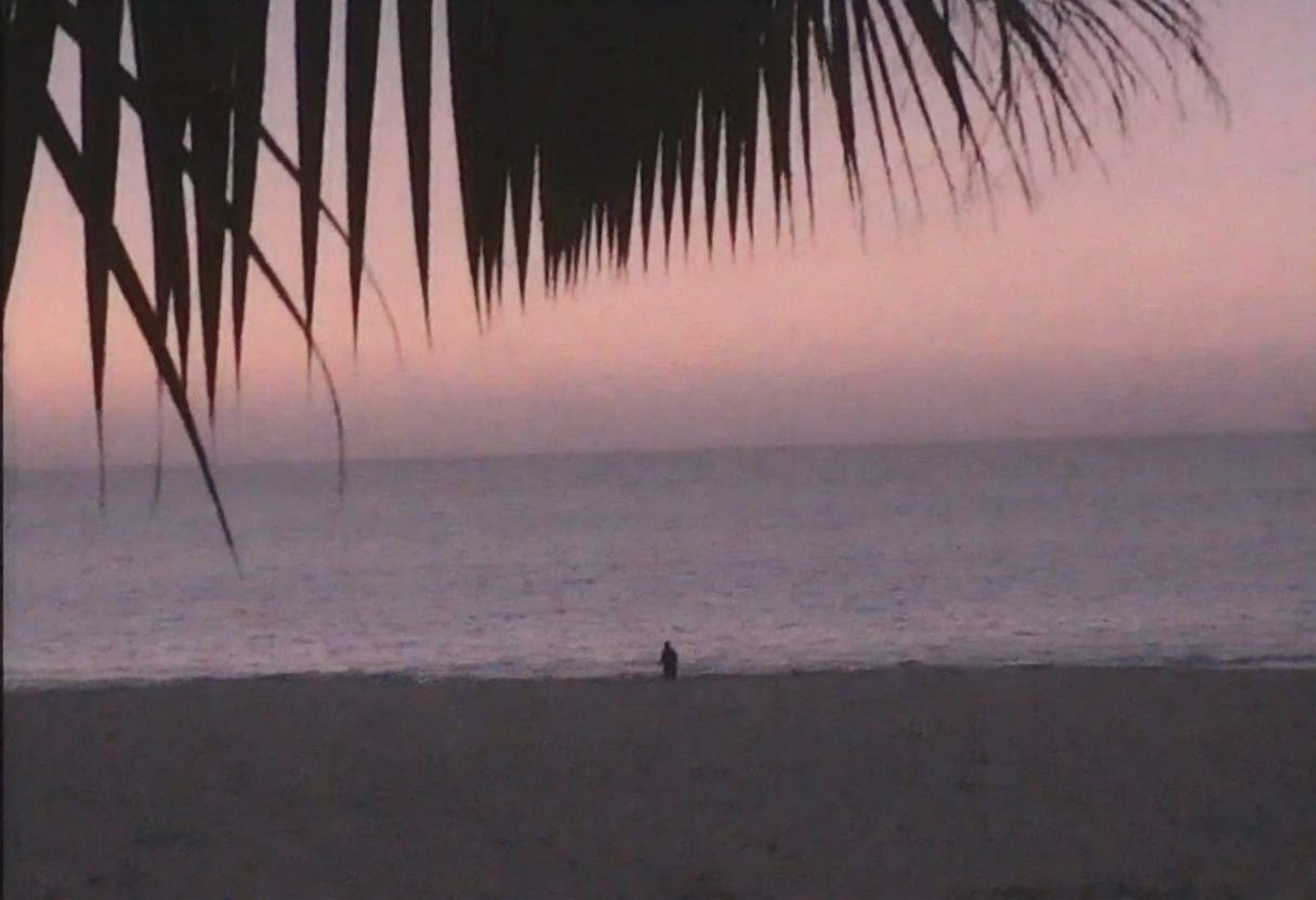 v8s, Silhouetted figure standing alone, small in scale against vast seascape, distant horizon line, calm ocean waves, dark sandy beach, foreground framed by silhouettes of palm fronds, overcast sky with muted sunset hues of orange and purple, natural evening lighting, outdoor coastal setting, low angle view, atmospheric mood, serene ambiance, blurred palm edges, soft focus effect. Amateur quality, Analog distortion, low resolution, Chromatic aberration, tape noise, Grainy texture, Frame jitter, muted colors, overexposed foreground