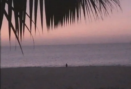 v8s, Silhouetted figure standing alone, small in scale against vast seascape, distant horizon line, calm ocean waves, dark sandy beach, foreground framed by silhouettes of palm fronds, overcast sky with muted sunset hues of orange and purple, natural evening lighting, outdoor coastal setting, low angle view, atmospheric mood, serene ambiance, blurred palm edges, soft focus effect. Amateur quality, Analog distortion, low resolution, Chromatic aberration, tape noise, Grainy texture, Frame jitter, muted colors, overexposed foreground